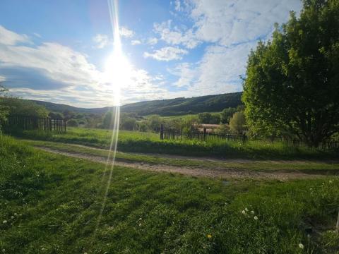 Prodej zahrady, Kalivody, 3906 m2