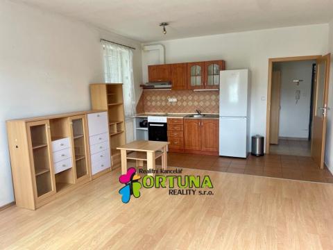 Pronájem bytu 1+kk, Dobrá Voda u Českých Budějovic, Lázeňská, 30 m2