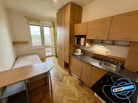 Pronájem bytu 1+kk, Opava, Haškova, 14 m2