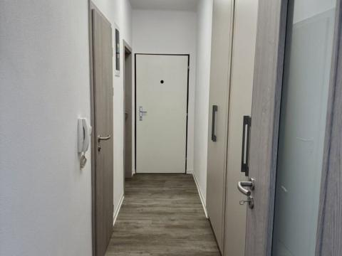 Pronájem bytu 3+kk, Plzeň - Jižní Předměstí, Alešova, 69 m2