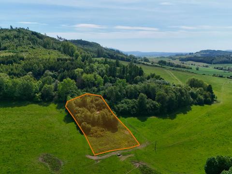 Prodej zahrady, Kdyně - Prapořiště, 3290 m2