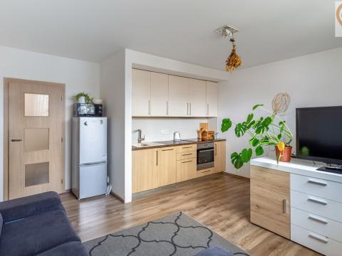Pronájem bytu 2+kk, Plzeň, Skrétova, 45 m2