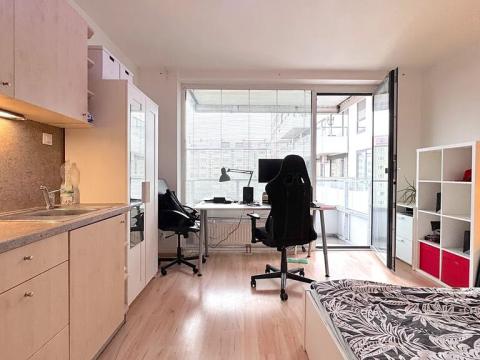 Pronájem bytu 1+kk, Brno, Lidická, 25 m2