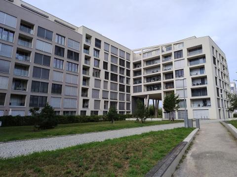 Pronájem bytu 1+kk, Praha - Karlín, Breitfeldova, 38 m2