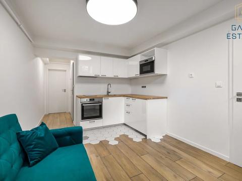 Pronájem bytu 2+kk, Brno, Olší, 36 m2