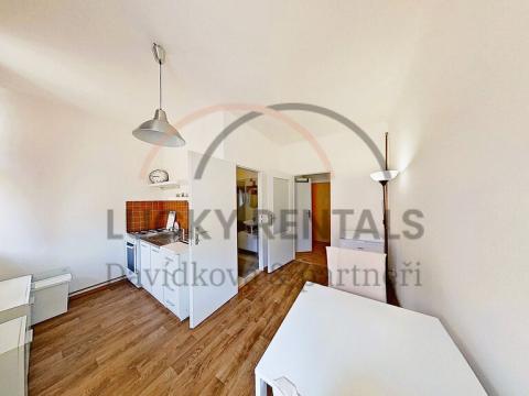 Pronájem bytu 1+1, Praha - Karlín, Sokolovská, 38 m2