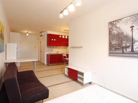 Pronájem bytu 1+kk, Brno, Rybnická, 31 m2