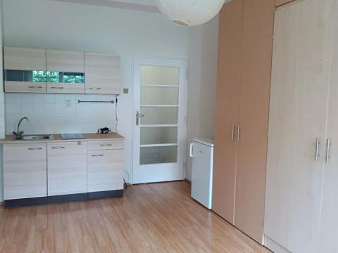 Pronájem bytu 1+kk, Praha - Košíře, Vrchlického, 23 m2