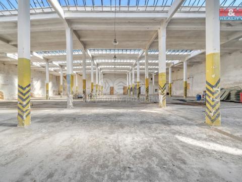 Prodej obchodního prostoru, Červená Voda, 1500 m2