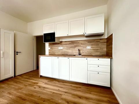Pronájem bytu 1+kk, Brno, Vranovská, 25 m2