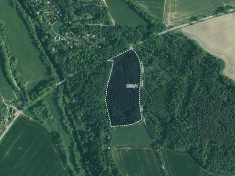 Prodej lesa, Římov, 34065 m2