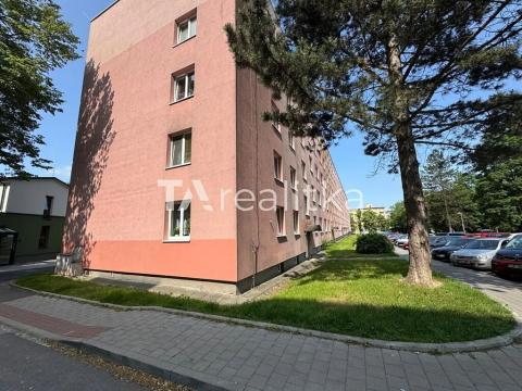Pronájem bytu 1+kk, Havířov, Družstevnická, 22 m2