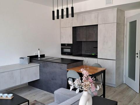 Pronájem bytu 2+kk, Praha - Holešovice, Jankovcova, 43 m2