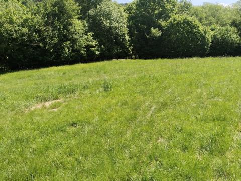 Prodej pozemku pro bydlení, Dlouhá Ves, 1876 m2