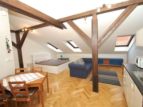 Pronájem bytu 1+kk, Praha - Vinohrady, Sázavská, 50 m2