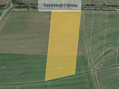 Prodej pole, Krušovice, 22900 m2