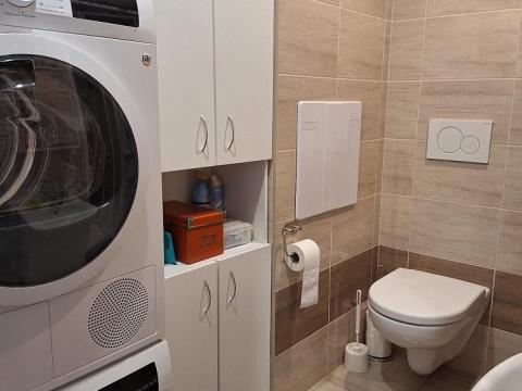 Prodej bytu 1+1, Vamberk, Struha, 34 m2