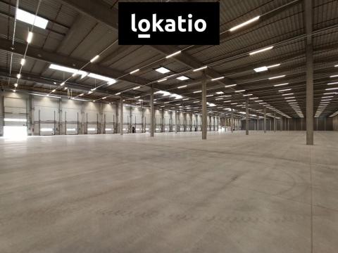 Pronájem skladu, Pardubice - Rosice, 14739 m2