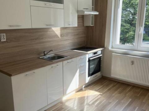 Pronájem bytu 1+1, Ostrava - Mariánské Hory, Cottonové, 37 m2