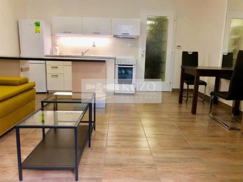Pronájem bytu 1+kk, Brno, Merhautova, 37 m2