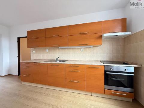 Pronájem bytu 1+1, Teplice, Jateční, 50 m2