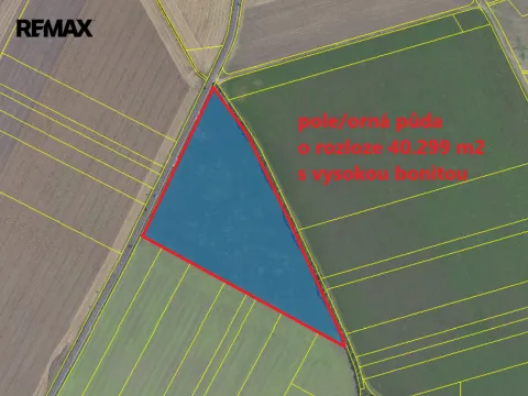 Prodej pole, Kněžice, 40299 m2