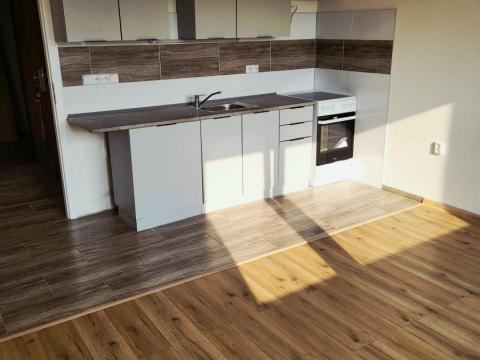 Pronájem bytu 1+1, Děčín - Děčín XXXII-Boletice nad Labem, V Sídlišti, 40 m2