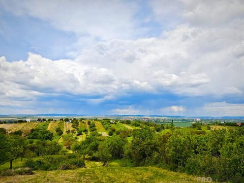 Prodej chaty, Blučina, 20 m2