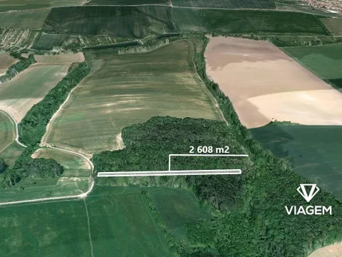 Prodej podílu lesa, Ostrožská Lhota, 652 m2