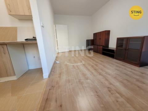 Pronájem bytu 1+kk, Ostrava, Karla Pokorného, 25 m2