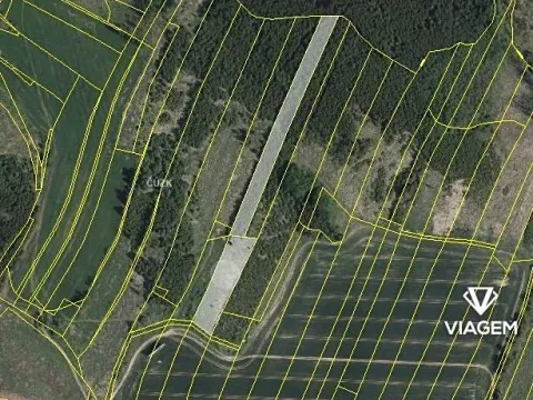Prodej podílu lesa, Kamenice, 4934 m2