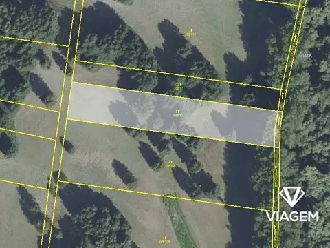 Prodej podílu lesa, Choťánky, 1642 m2