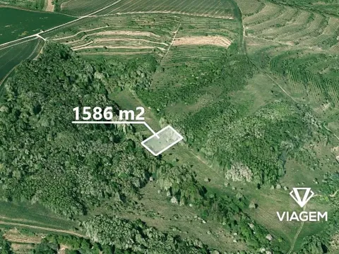Prodej pole, Hustopeče, 1586 m2