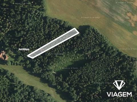 Prodej lesa, Jindřichov, 1945 m2
