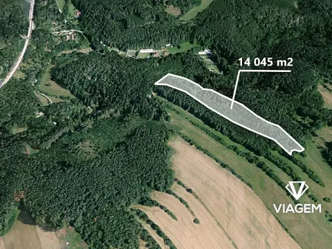 Prodej podílu lesa, Kuřimská Nová Ves, 3121 m2