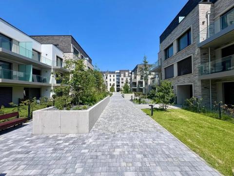 Pronájem bytu 1+kk, Praha - Holešovice, U průhonu, 35 m2