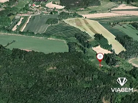 Prodej podílu lesa, Červená Řečice, 417 m2