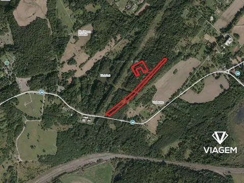 Prodej lesa, Doubrava, 2709 m2