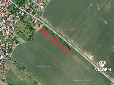 Prodej podílu pole, Opatovice, 1964 m2
