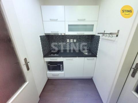 Pronájem bytu 1+kk, Opava, Hobzíkova, 26 m2