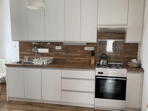 Pronájem bytu 2+kk, Ostrava - Moravská Ostrava, Milíčova, 61 m2