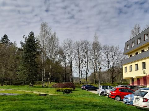 Pronájem bytu 1+kk, Třešť, Palackého, 31 m2