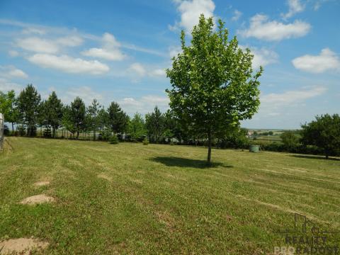 Prodej pozemku pro bydlení, Syrovice, 3307 m2