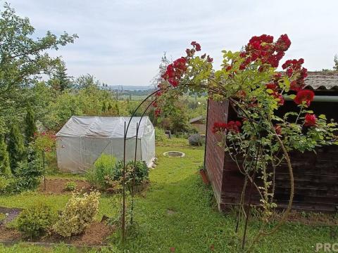 Prodej zahrady, Olomouc - Slavonín, 391 m2