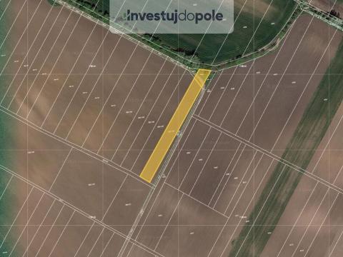 Prodej pole, Břeclav, 2441 m2
