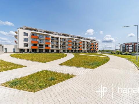 Pronájem bytu 1+kk, Olomouc, Aloise Rašína, 30 m2