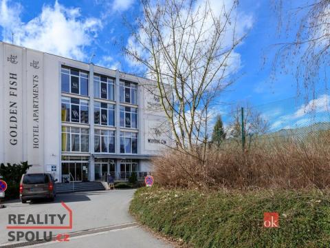 Pronájem bytu 2+kk, Plzeň - Jižní Předměstí, U Borského parku, 52 m2