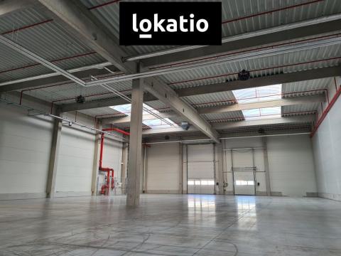 Pronájem skladu, Ostrava, 1168 m2