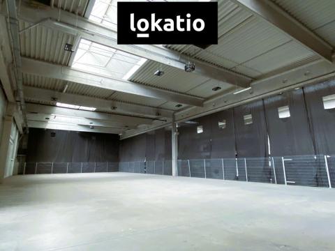 Pronájem skladu, Ostrava, 711 m2