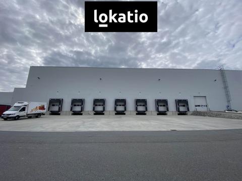 Pronájem skladu, Ostrava, 3682 m2